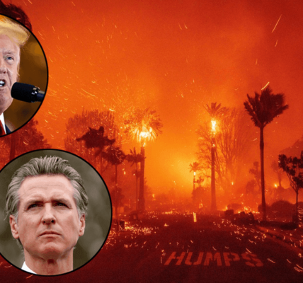 Los Angeles Wildfires 2025