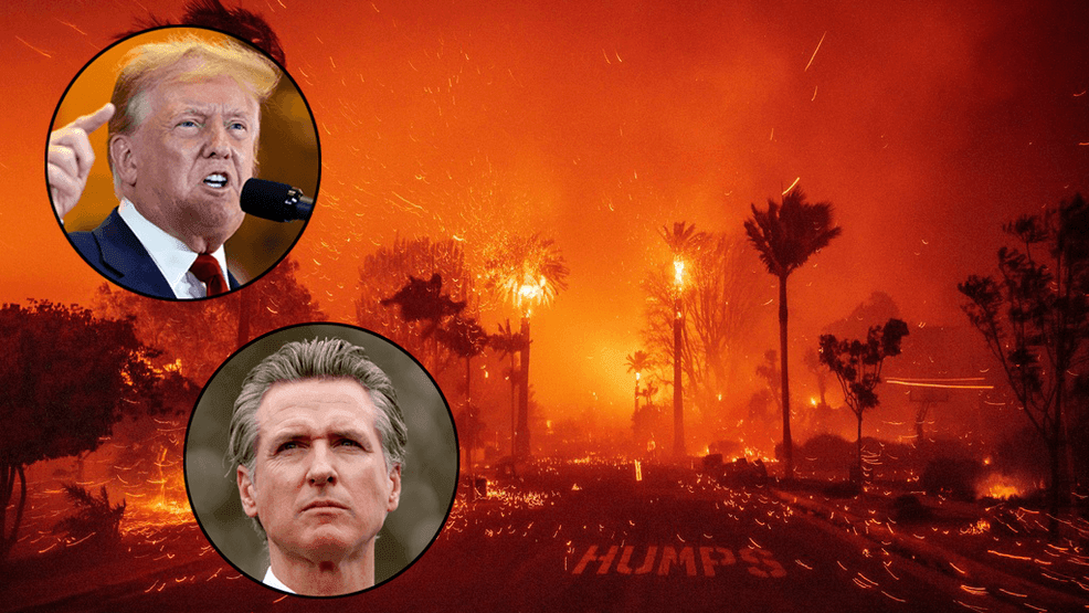 Los Angeles Wildfires 2025